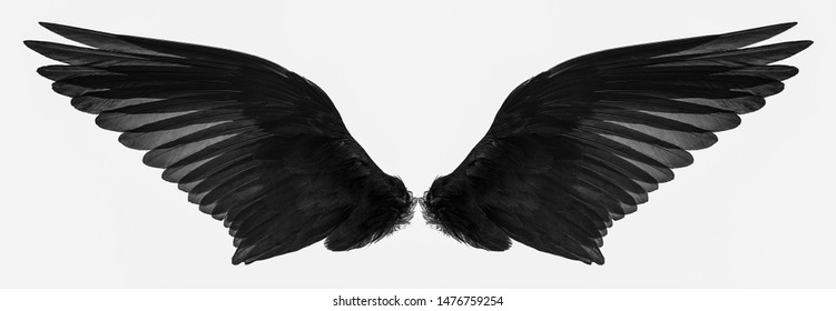 Detail Black Wings Background Nomer 40