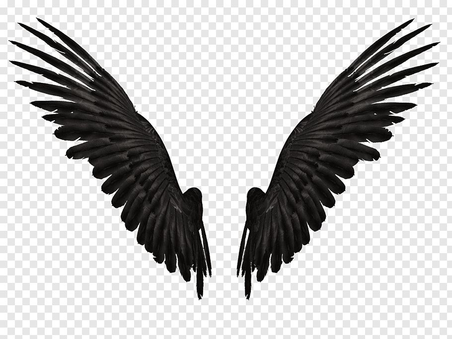 Detail Black Wings Background Nomer 42