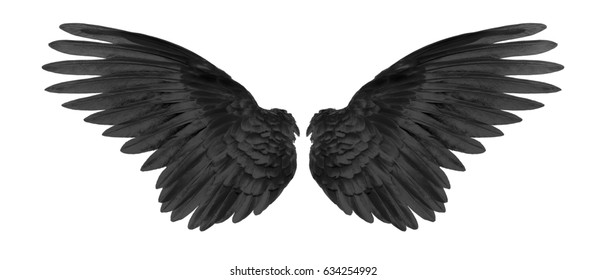 Detail Black Wings Background Nomer 50