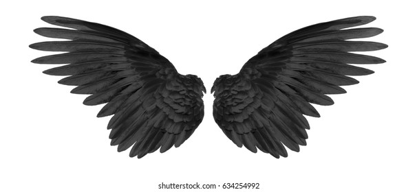 Detail Black Wings Background Nomer 50