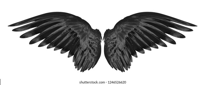 Detail Black Wings Background Nomer 55