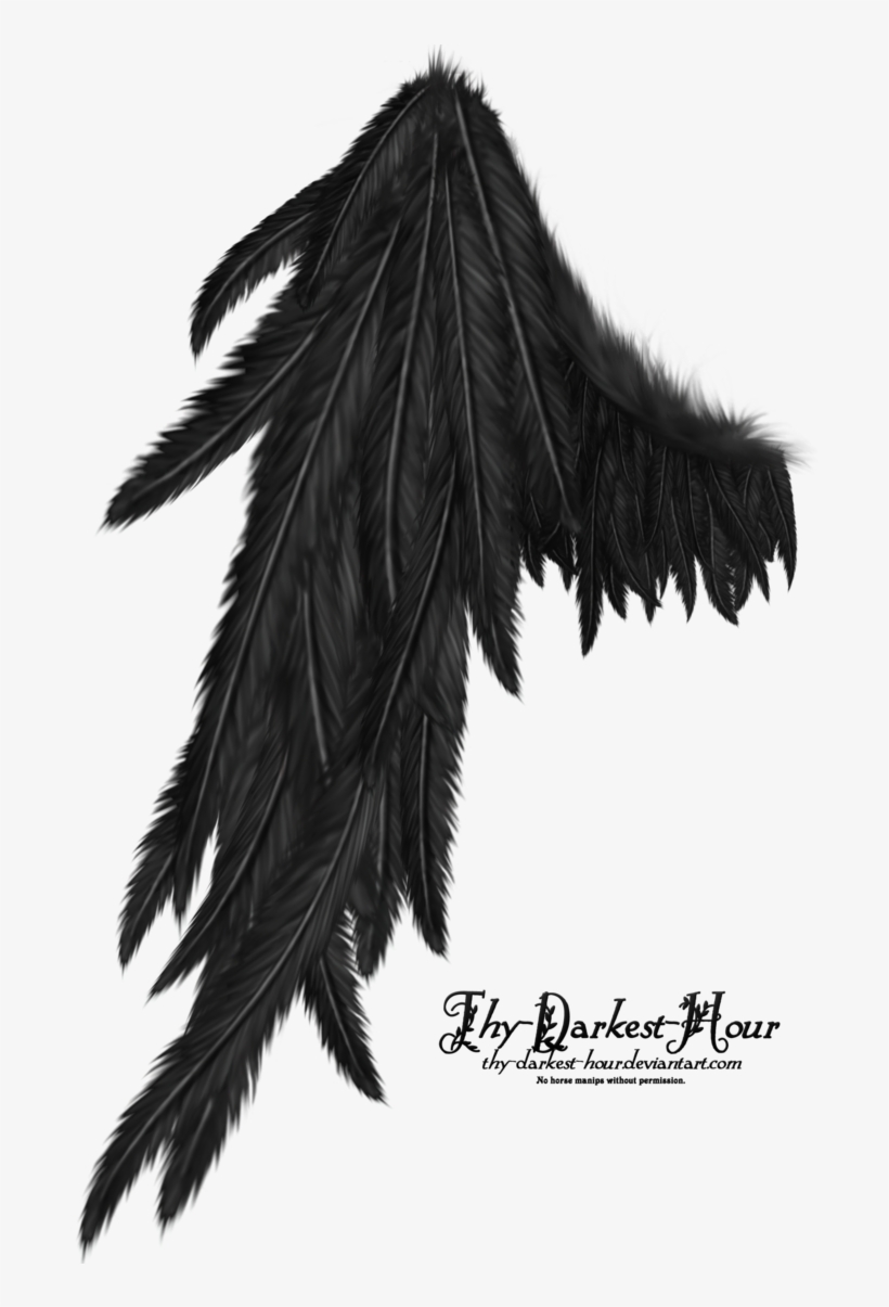 Detail Black Wings Background Nomer 57