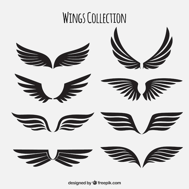 Detail Black Wings Logo Nomer 52