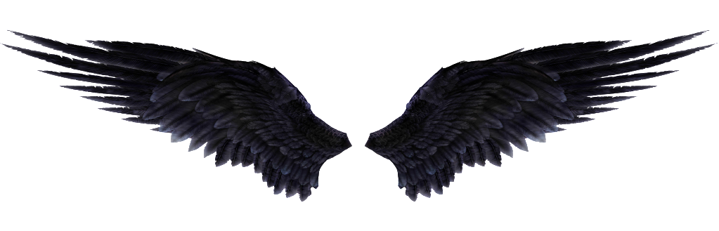 Detail Black Wings Png Nomer 13