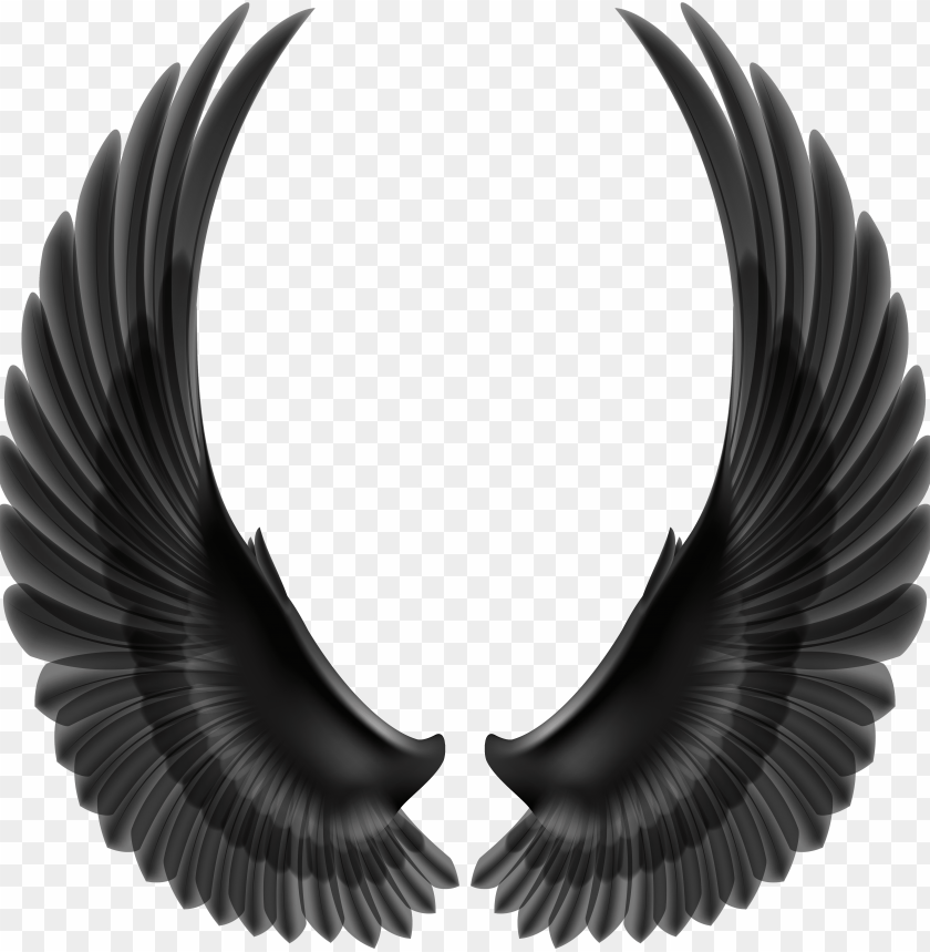 Detail Black Wings Png Nomer 17