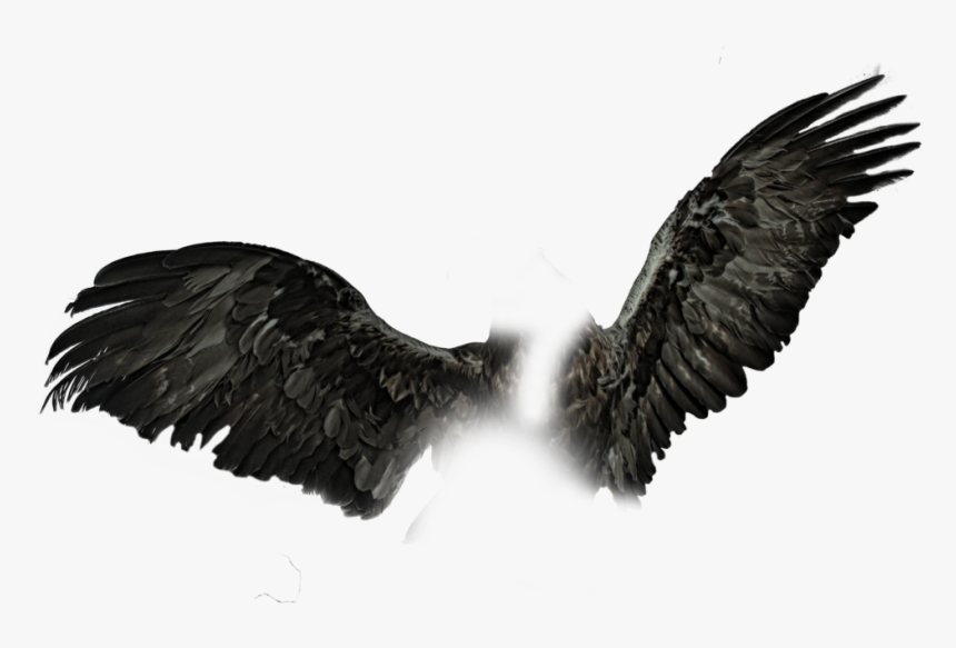 Detail Black Wings Png Nomer 20