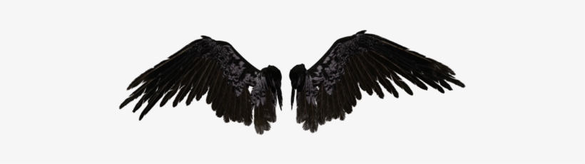Detail Black Wings Png Nomer 22