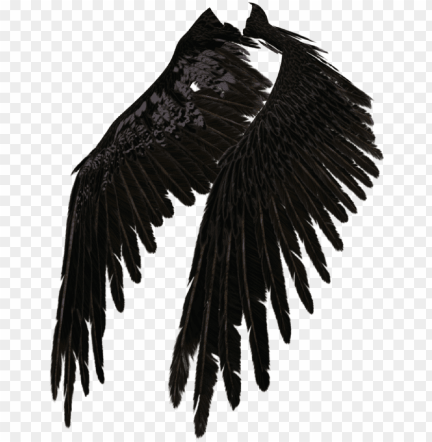 Detail Black Wings Png Nomer 34