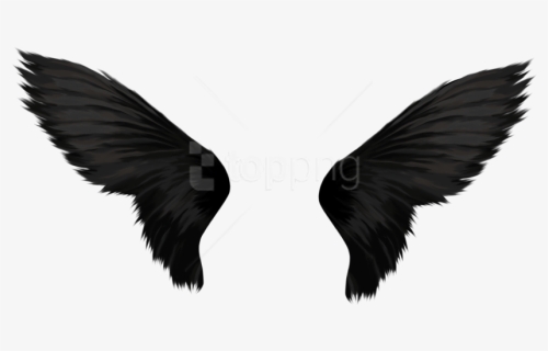 Detail Black Wings Png Nomer 5