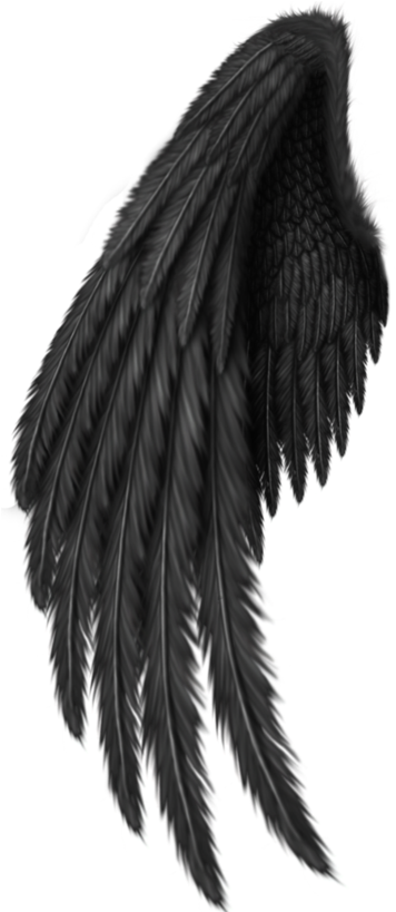 Detail Black Wings Png Nomer 42