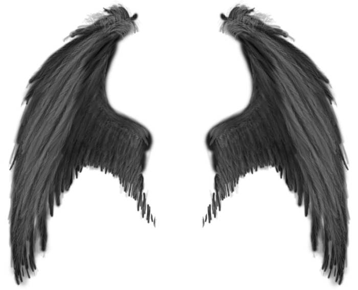Detail Black Wings Png Nomer 49