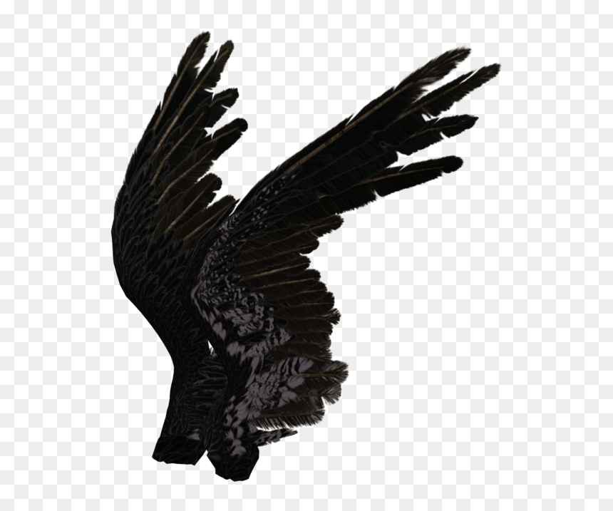 Detail Black Wings Png Nomer 51