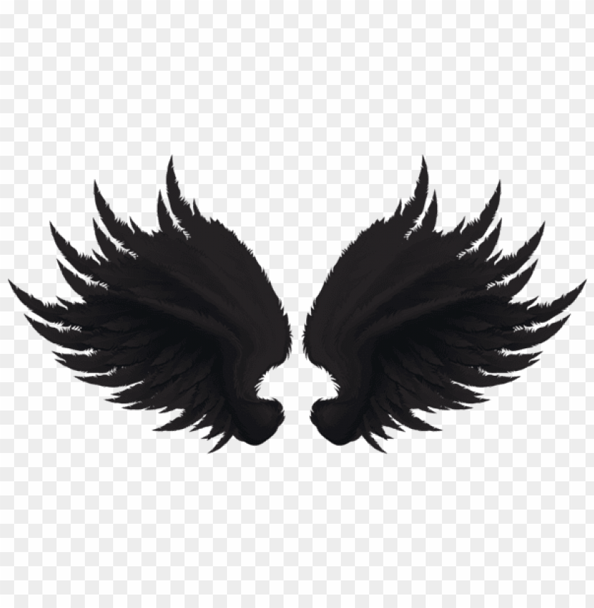 Detail Black Wings Png Nomer 52