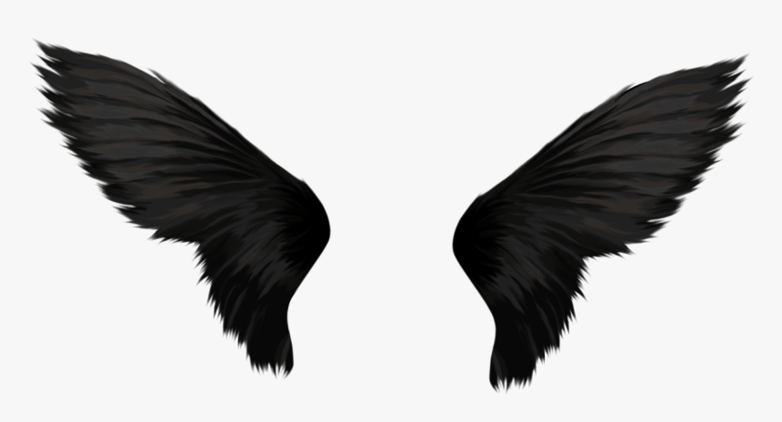 Black Wings Transparent Background - KibrisPDR