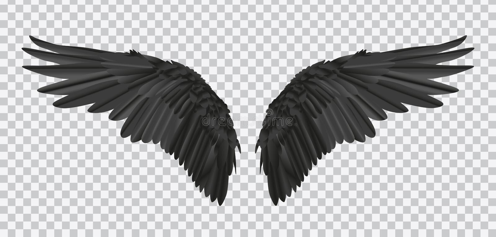 Detail Black Wings Transparent Background Nomer 11