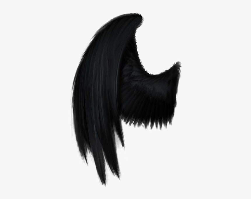 Detail Black Wings Transparent Background Nomer 15