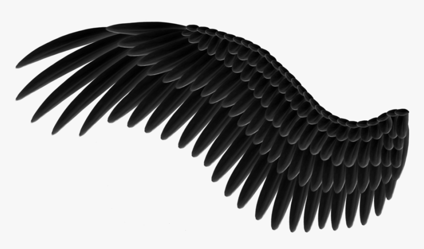 Detail Black Wings Transparent Background Nomer 18