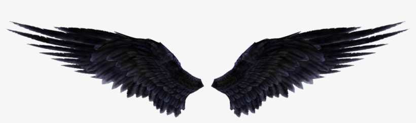 Detail Black Wings Transparent Background Nomer 19