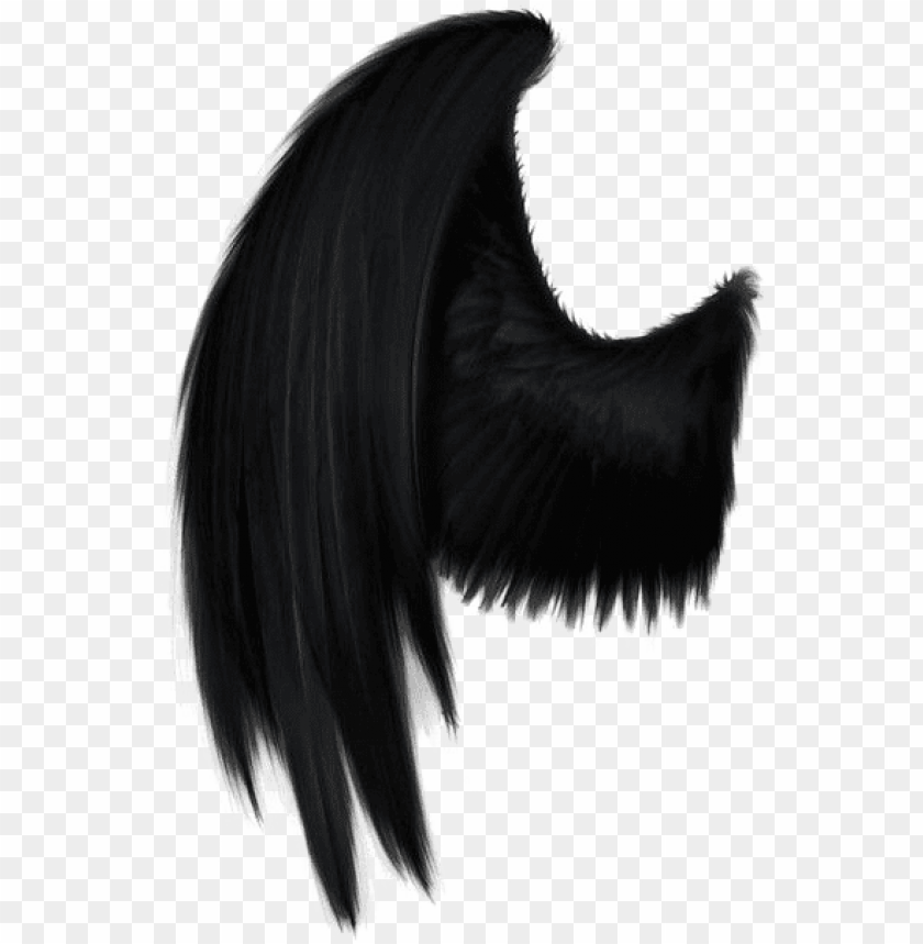 Detail Black Wings Transparent Background Nomer 3