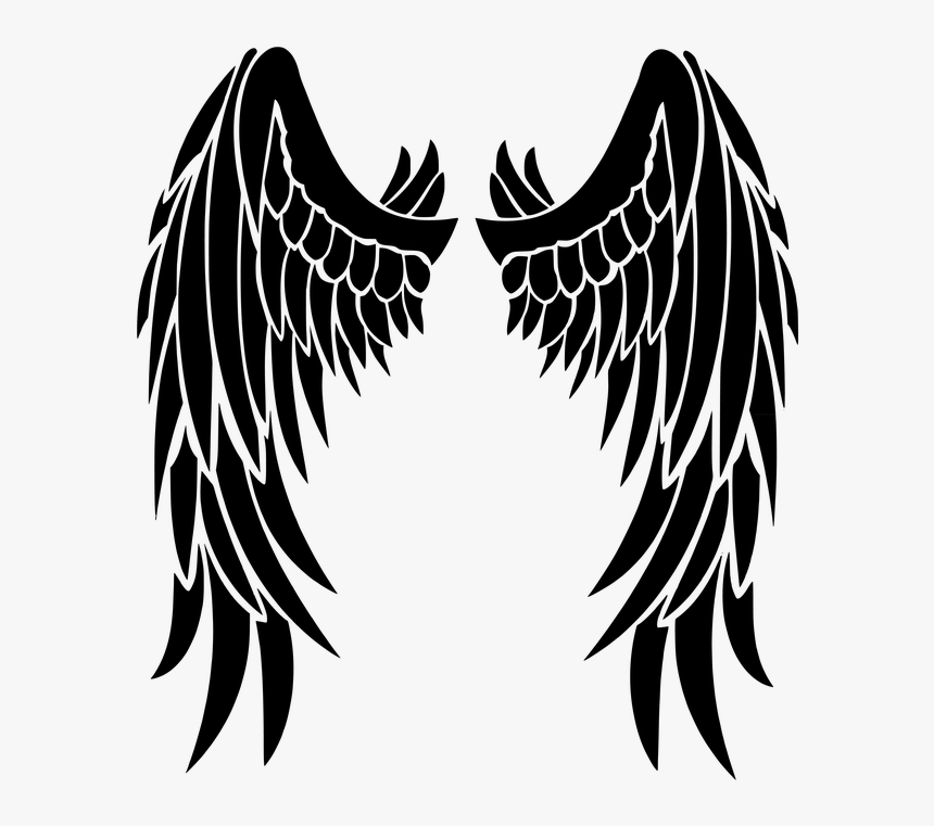 Detail Black Wings Transparent Background Nomer 23