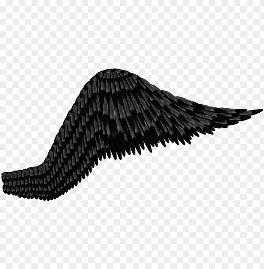 Detail Black Wings Transparent Background Nomer 24