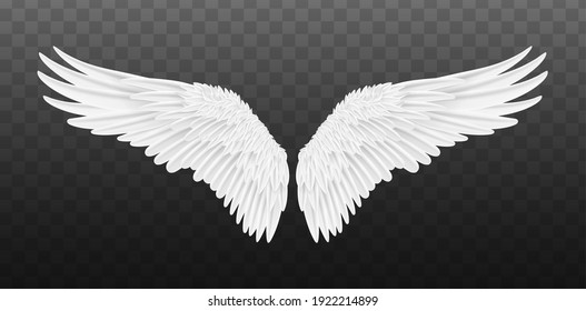 Detail Black Wings Transparent Background Nomer 28