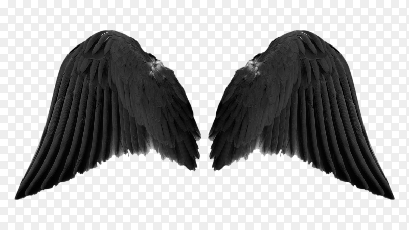 Detail Black Wings Transparent Background Nomer 30