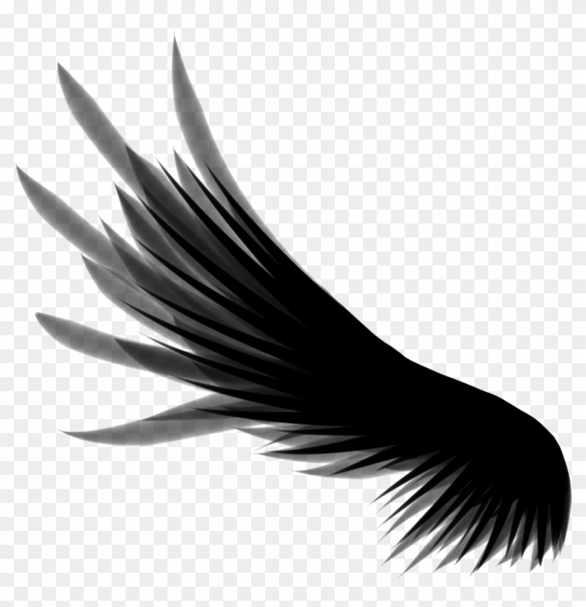 Detail Black Wings Transparent Background Nomer 33