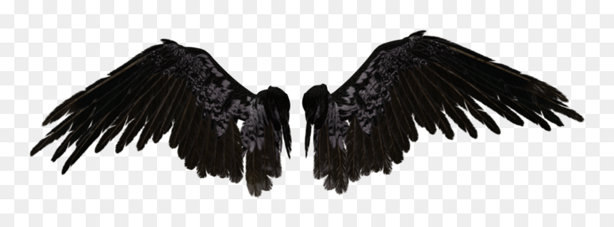 Detail Black Wings Transparent Background Nomer 35