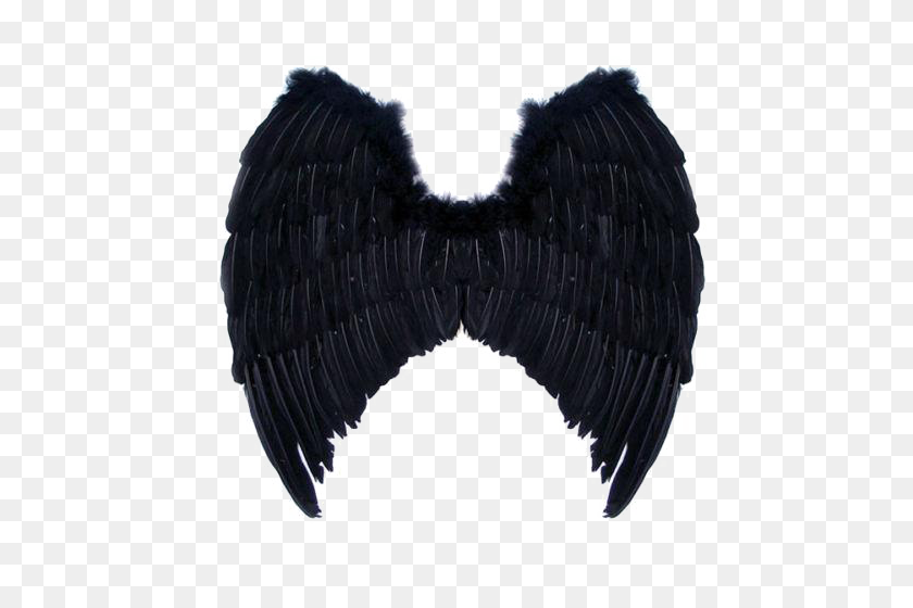 Detail Black Wings Transparent Background Nomer 36
