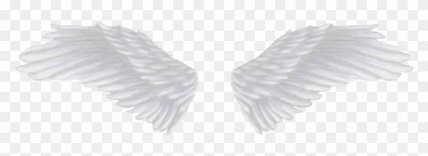 Detail Black Wings Transparent Background Nomer 39