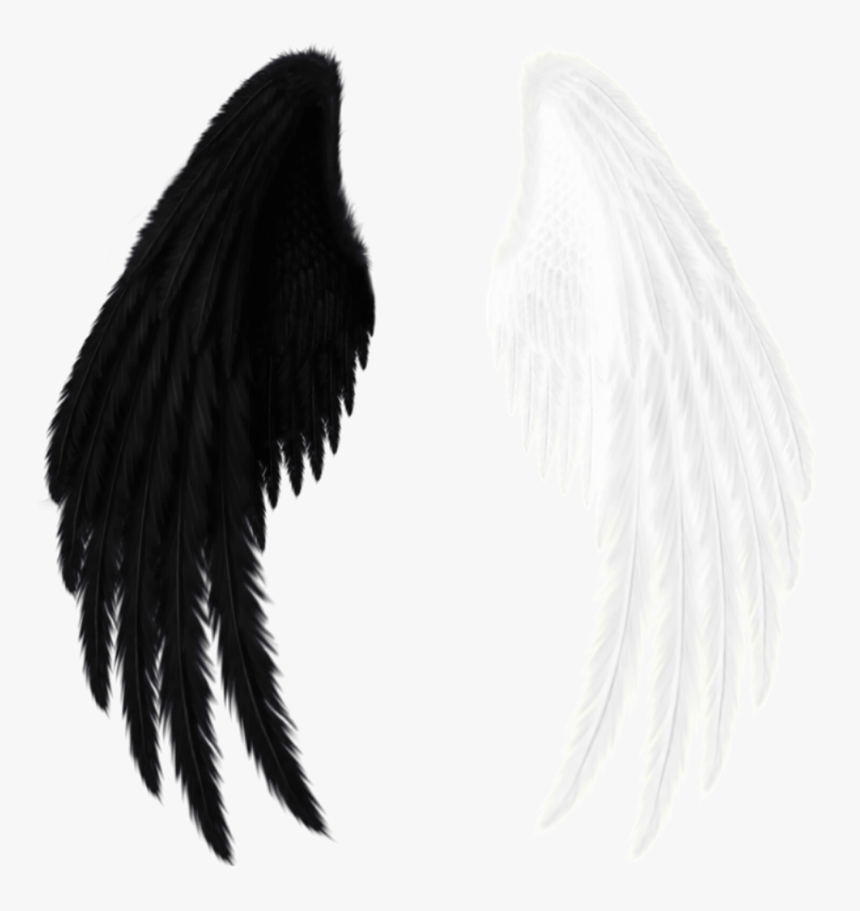 Detail Black Wings Transparent Background Nomer 40