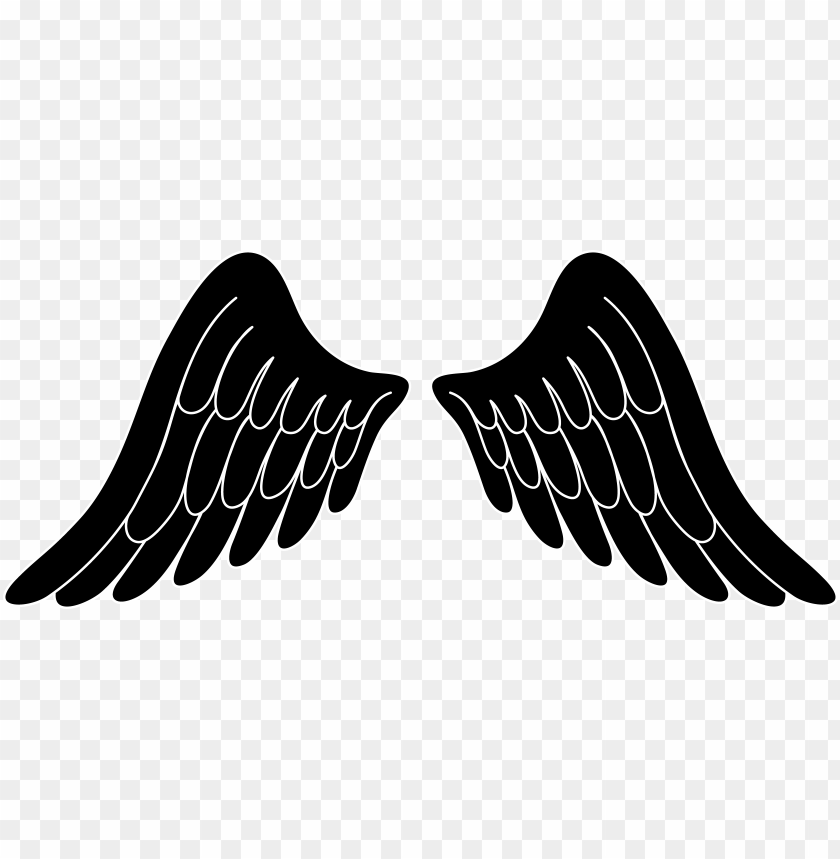 Detail Black Wings Transparent Background Nomer 44