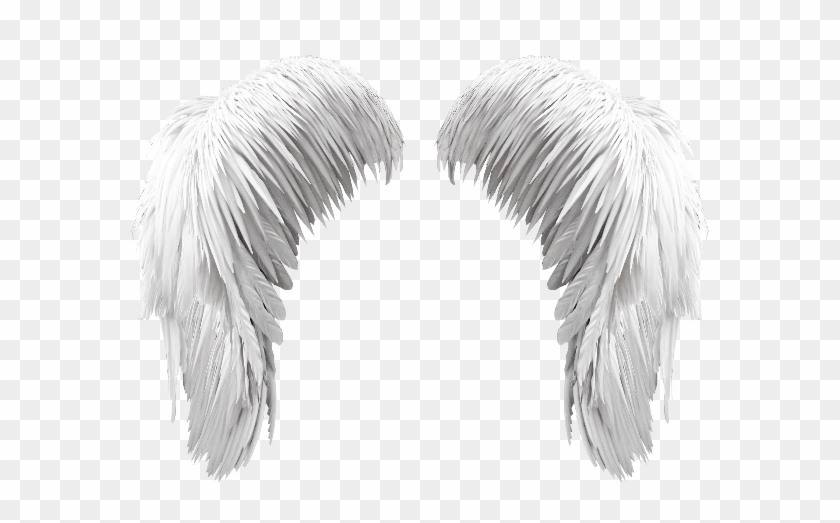 Detail Black Wings Transparent Background Nomer 45