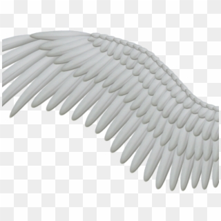 Detail Black Wings Transparent Background Nomer 48