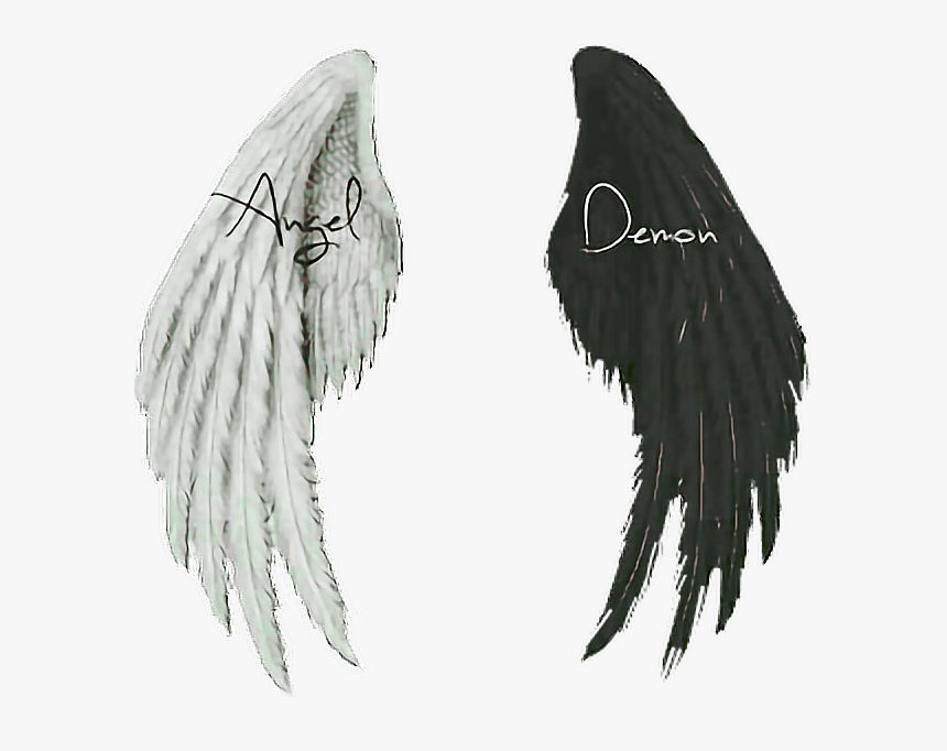 Detail Black Wings Transparent Background Nomer 52