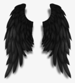 Detail Black Wings Transparent Background Nomer 8