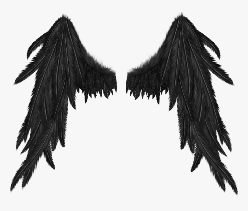 Detail Black Wings Transparent Background Nomer 9