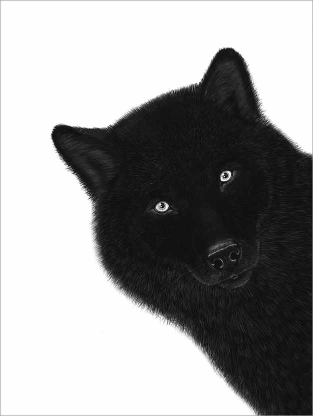 Detail Black Wolf Pics Nomer 37