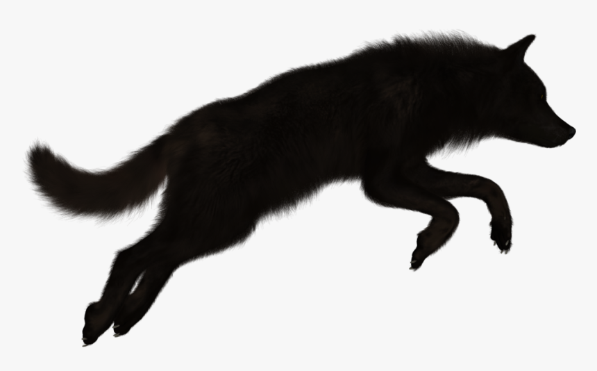 Detail Black Wolf Png Nomer 4