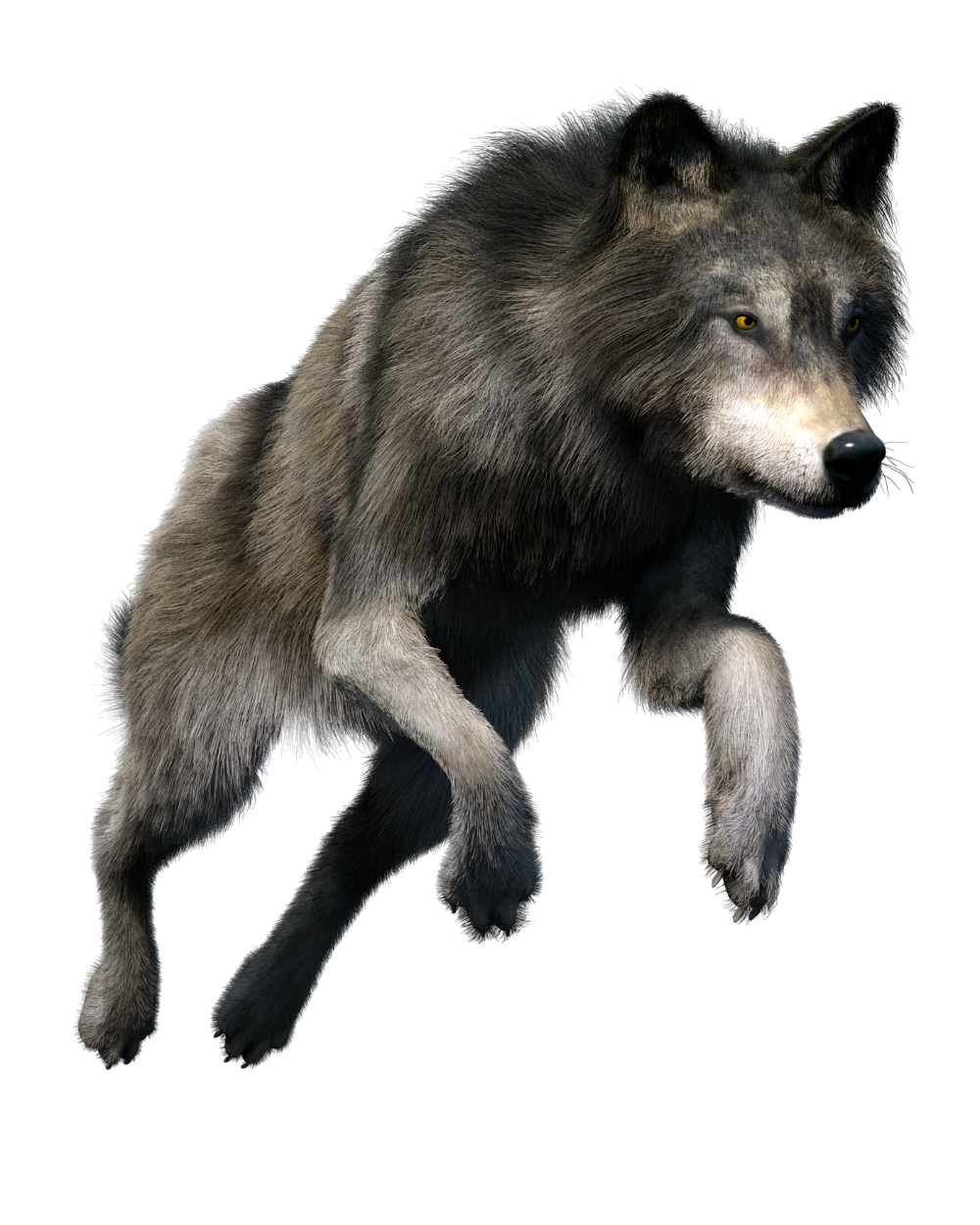 Detail Black Wolf Png Nomer 39
