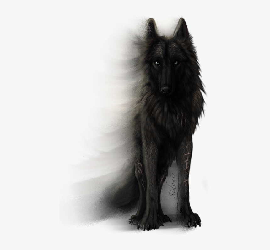 Detail Black Wolf Transparent Nomer 11