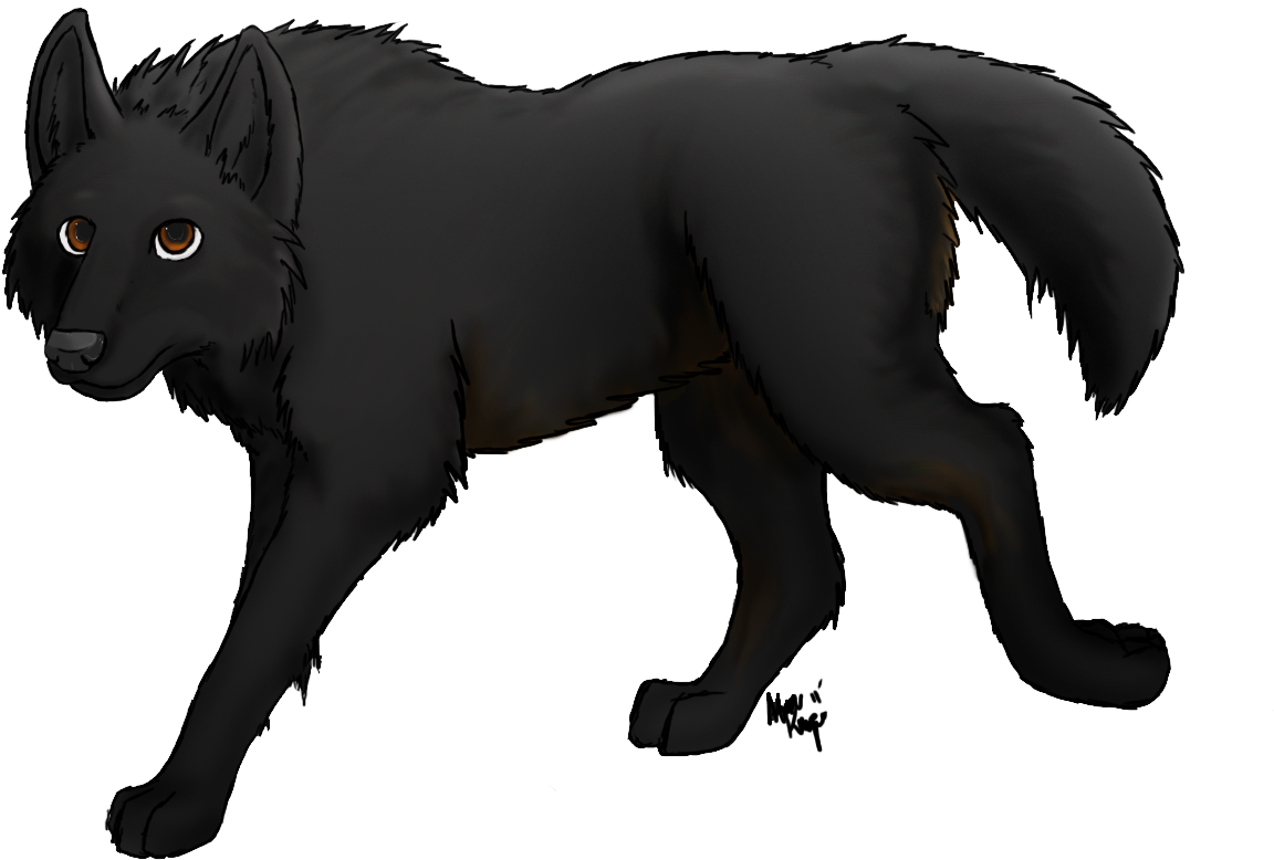 Detail Black Wolf Transparent Nomer 12