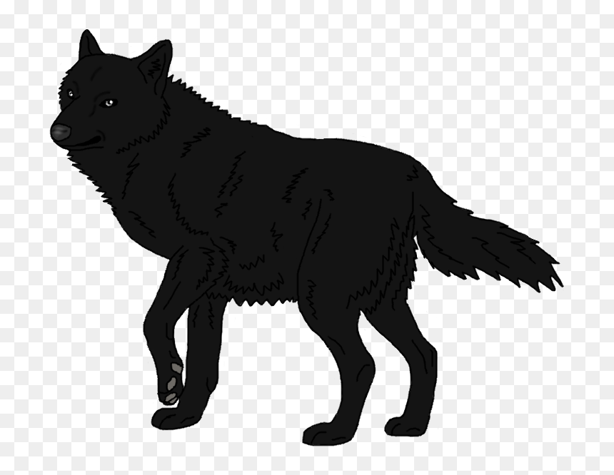 Detail Black Wolf Transparent Nomer 15