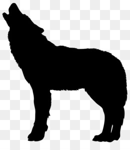 Detail Black Wolf Transparent Nomer 19