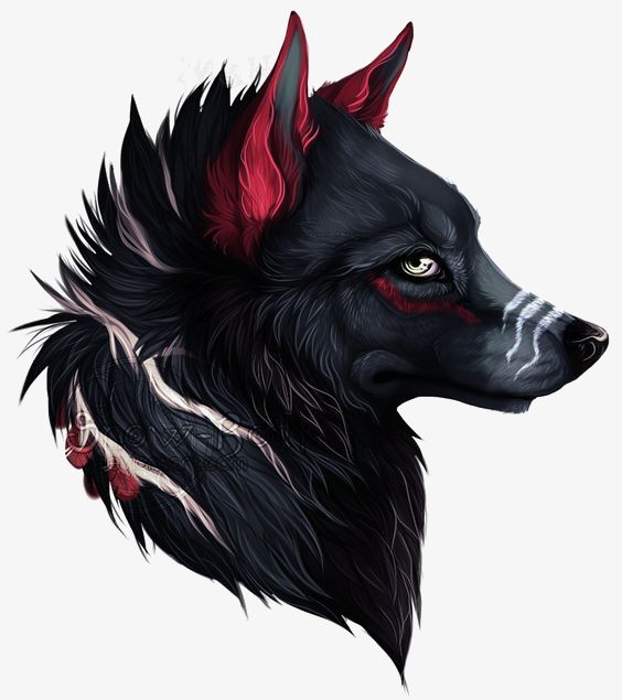 Detail Black Wolf Transparent Nomer 52