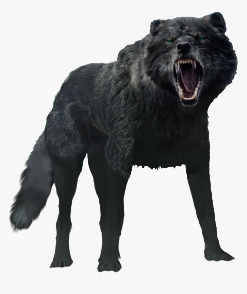 Detail Black Wolf Transparent Nomer 8