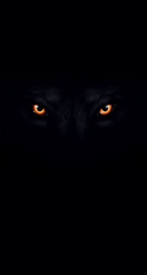 Black Wolf Wallpaper - KibrisPDR