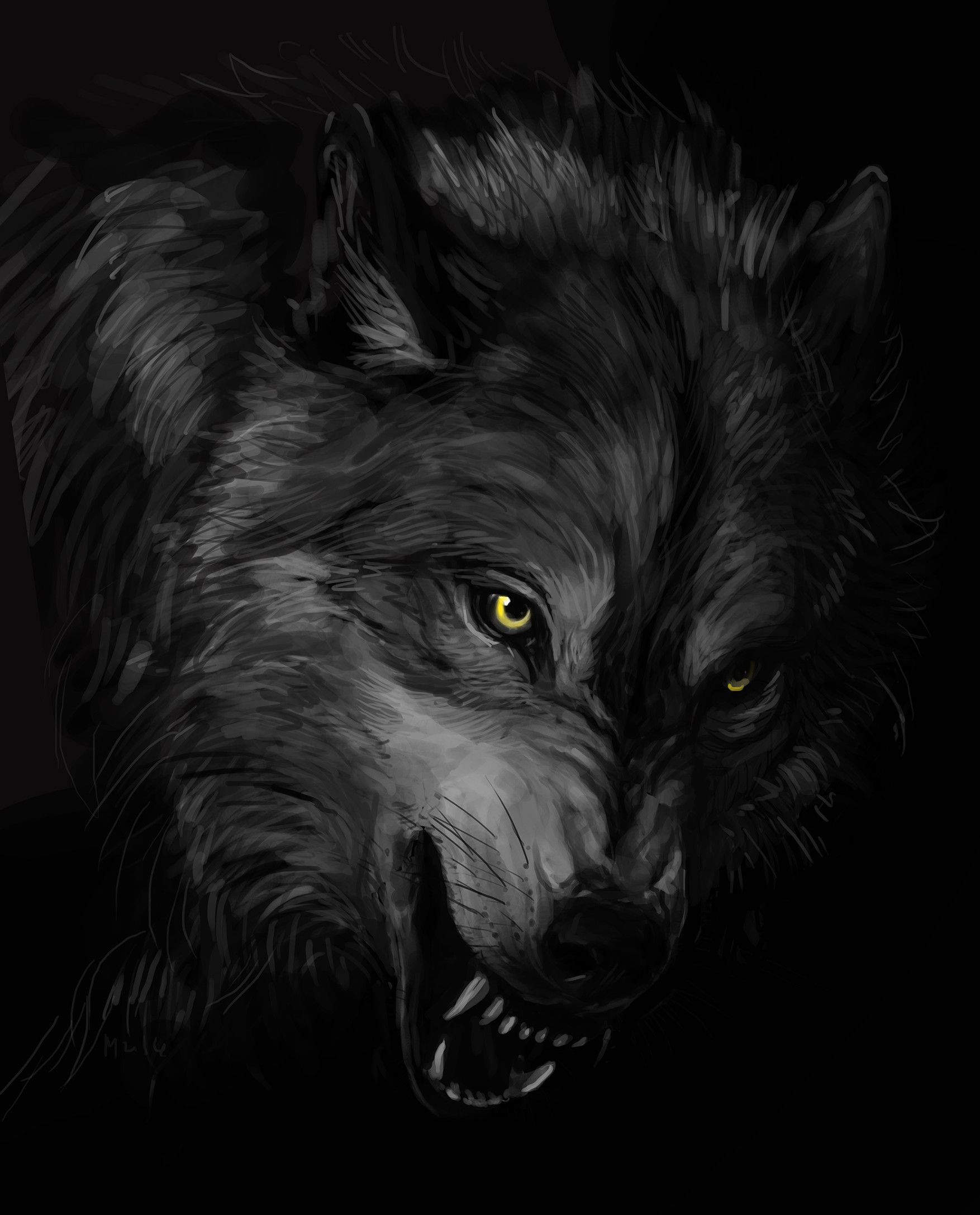 Detail Black Wolf Wallpaper Nomer 11