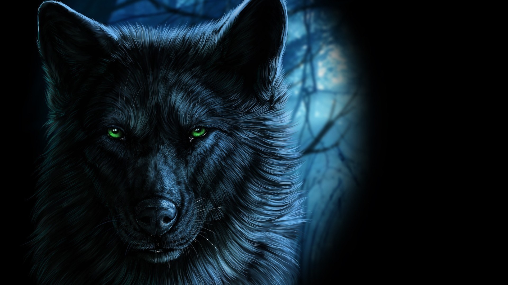 Detail Black Wolf Wallpaper Nomer 19